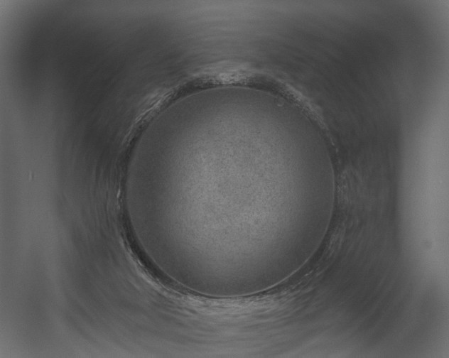 X0000058120018200509261246