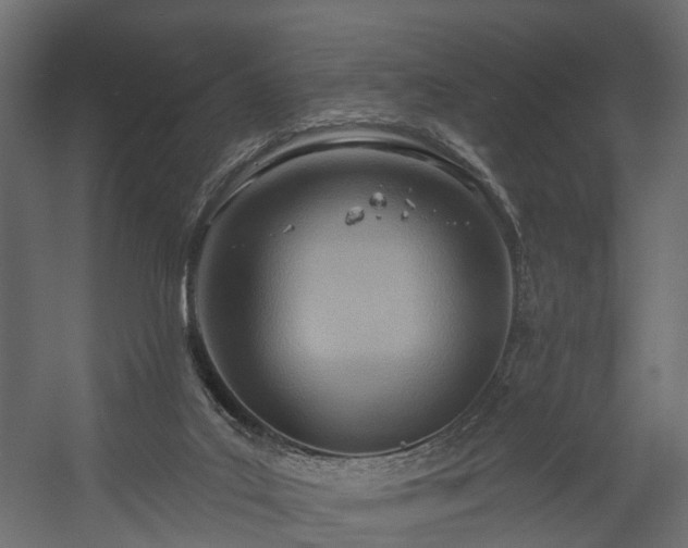 X0000058120019200509261246