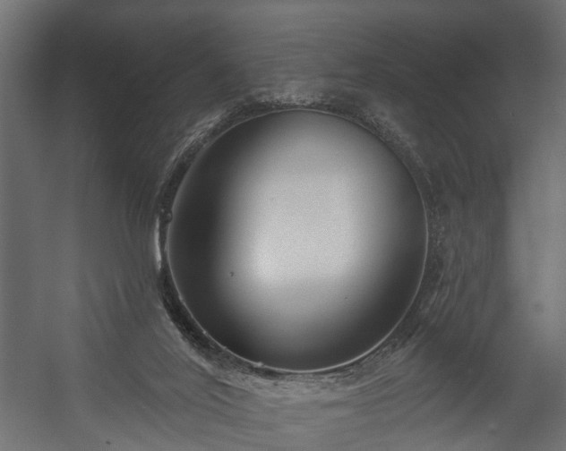 X0000058120020200509261246