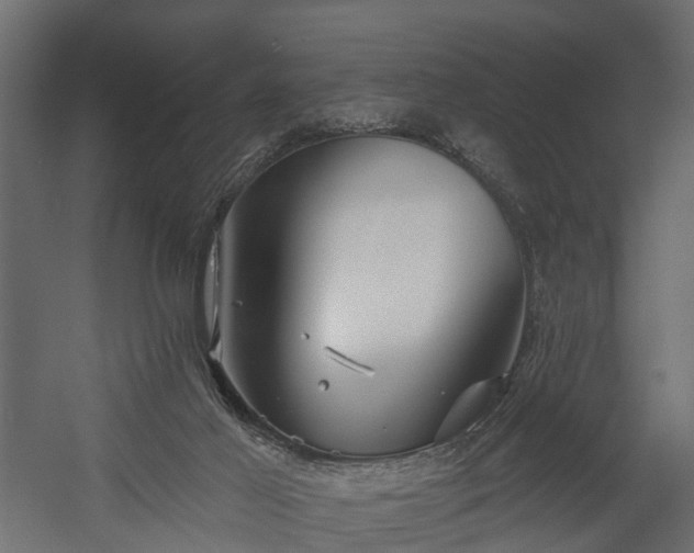 X0000058120021200509261246