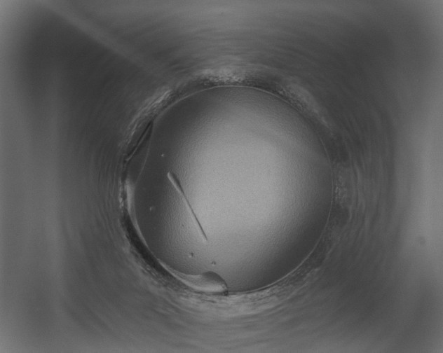 X0000058120023200509261246