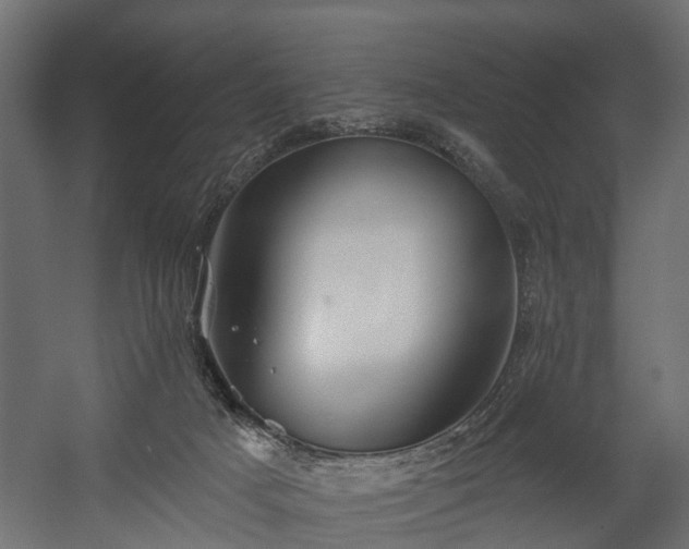 X0000058120025200509261246