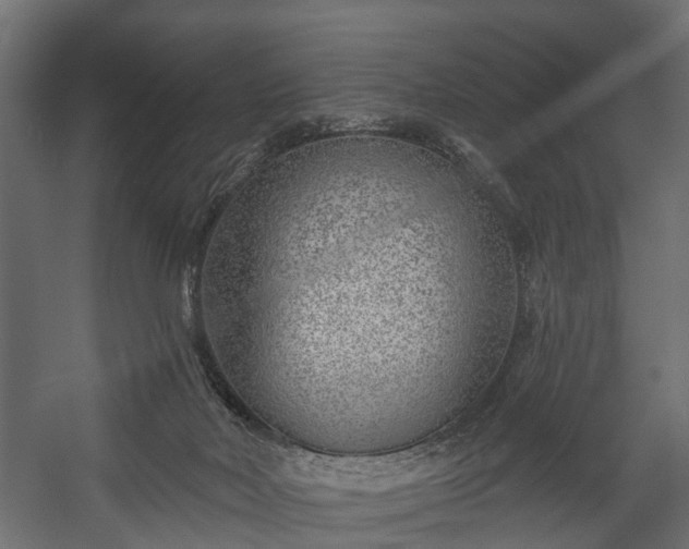 X0000058120026200509261246