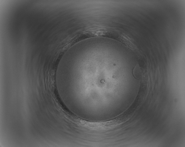 X0000058120030200509261246