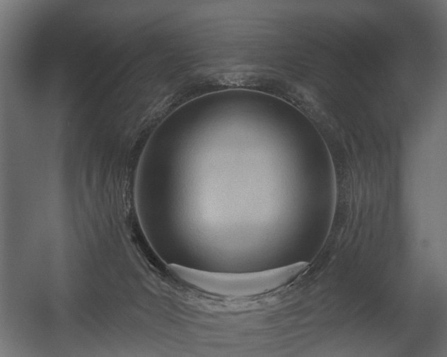 X0000058120031200509261246