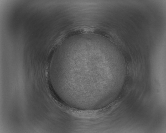 X0000058120032200509261246