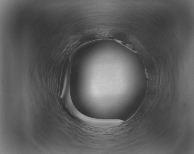 X0000058120035200509261246