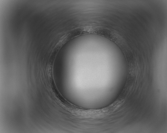 X0000058120036200509261246