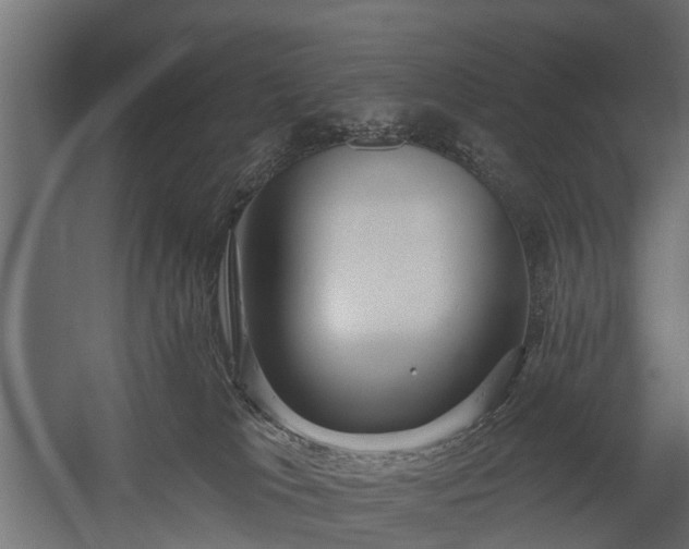 X0000058120037200509261246