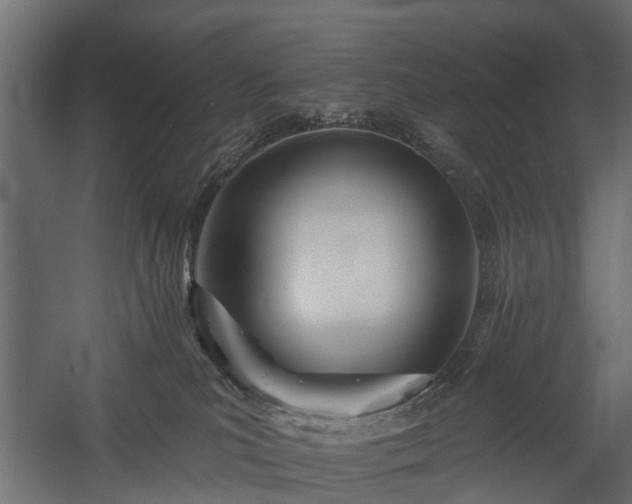 X0000058120039200509261246