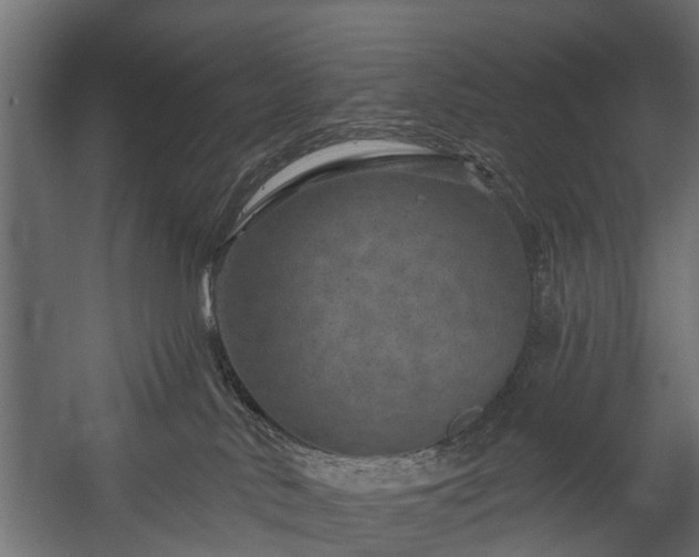 X0000058120042200509261246