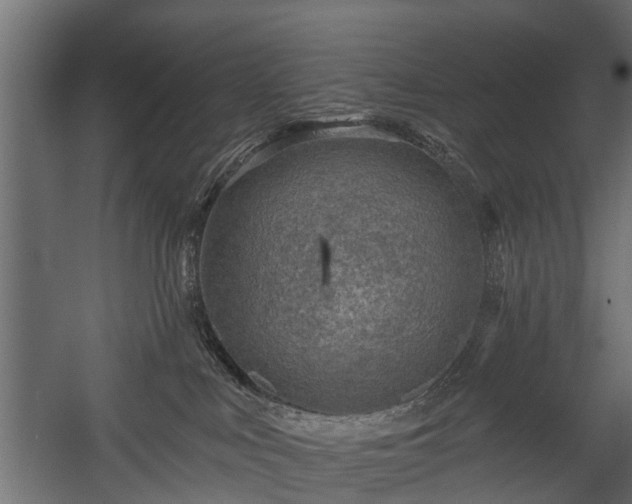 X0000058120043200509261246