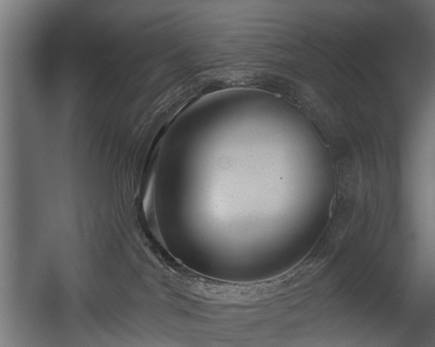 X0000058120044200509261246