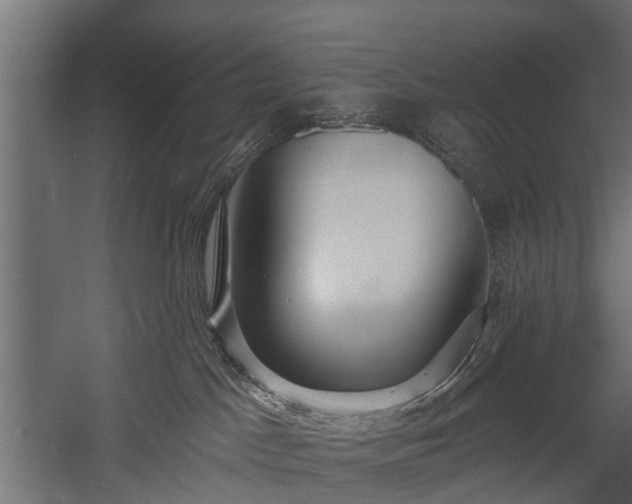 X0000058120045200509261246