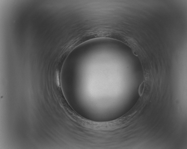 X0000058120046200509261246