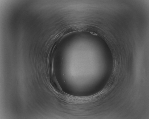 X0000058120048200509261246