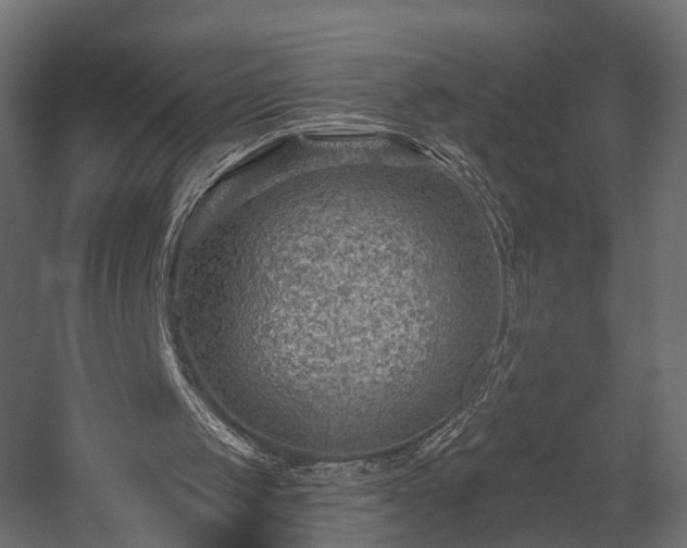 X0000058120049200509261245