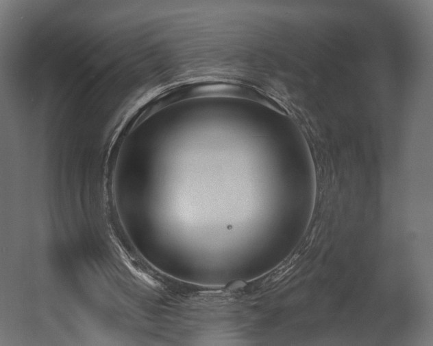 X0000058120050200509261245