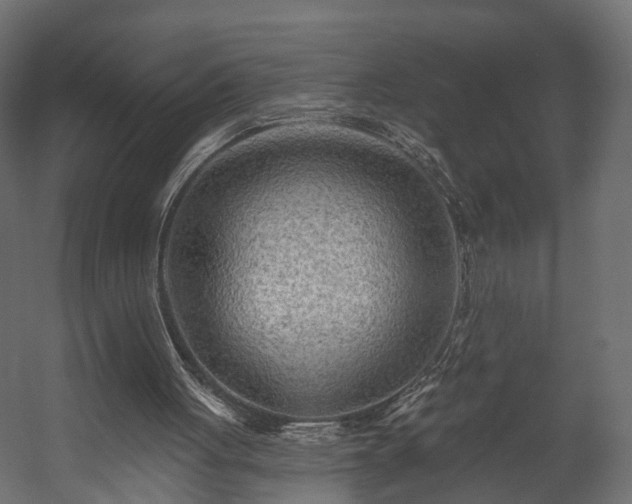 X0000058120051200509261245