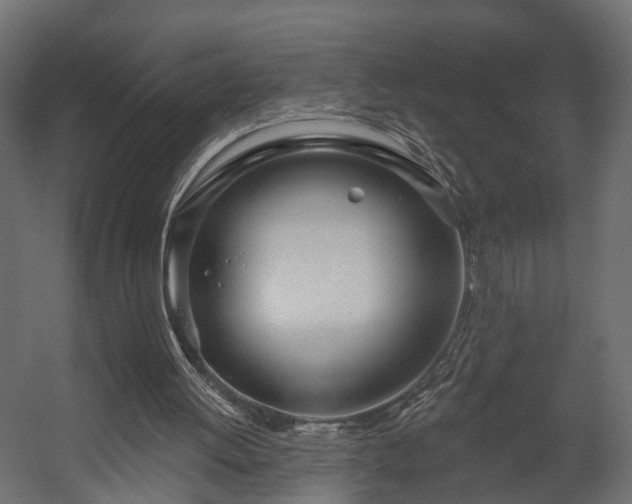 X0000058120052200509261245