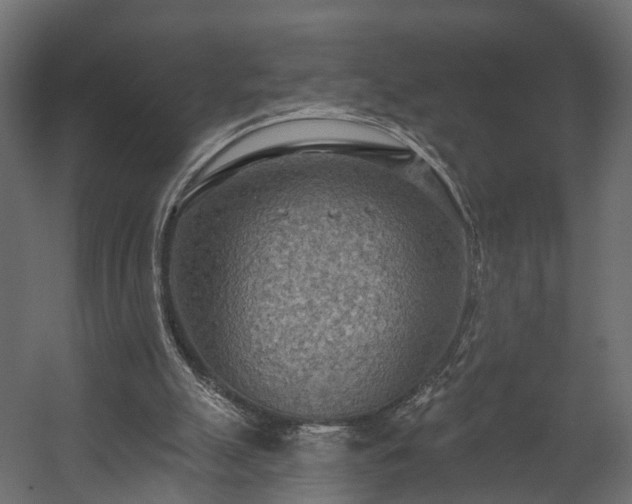 X0000058120055200509261245