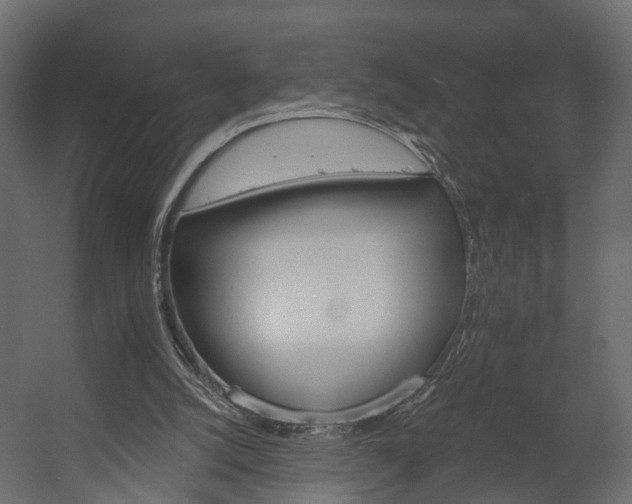 X0000058120056200509261245