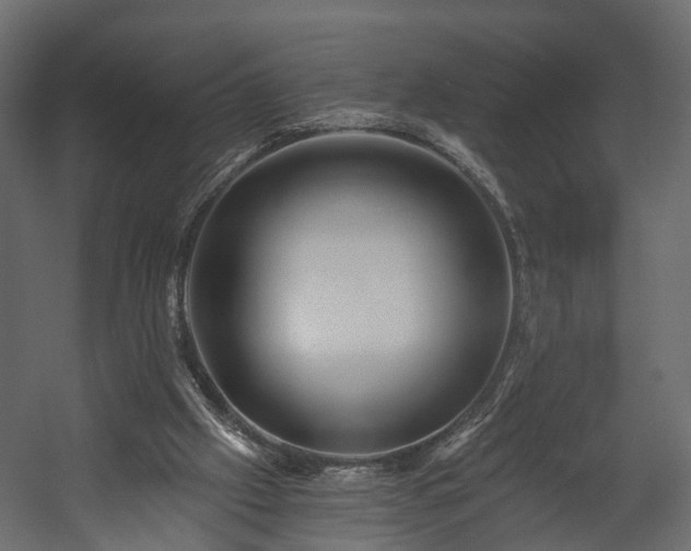 X0000058120057200509261245