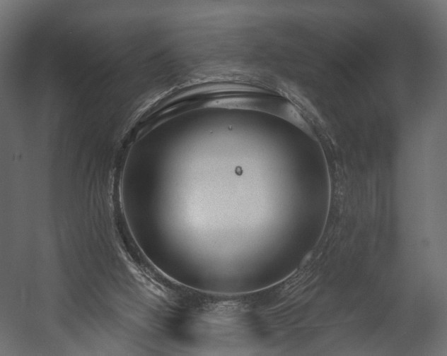 X0000058120058200509261245