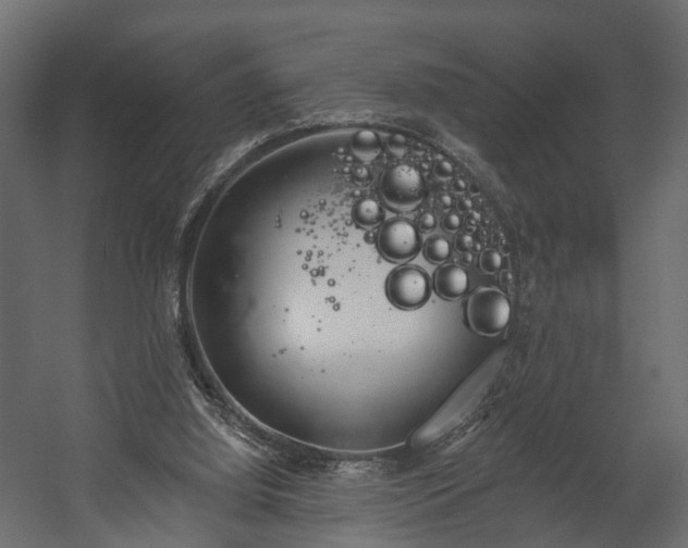 X0000058120060200509261245