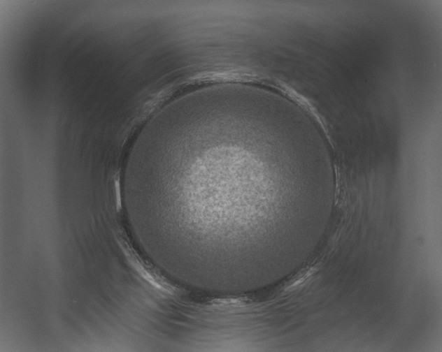 X0000058120061200509261245