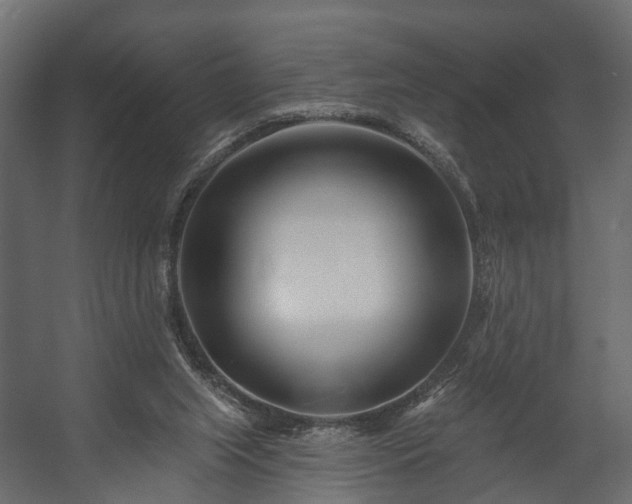 X0000058120063200509261245