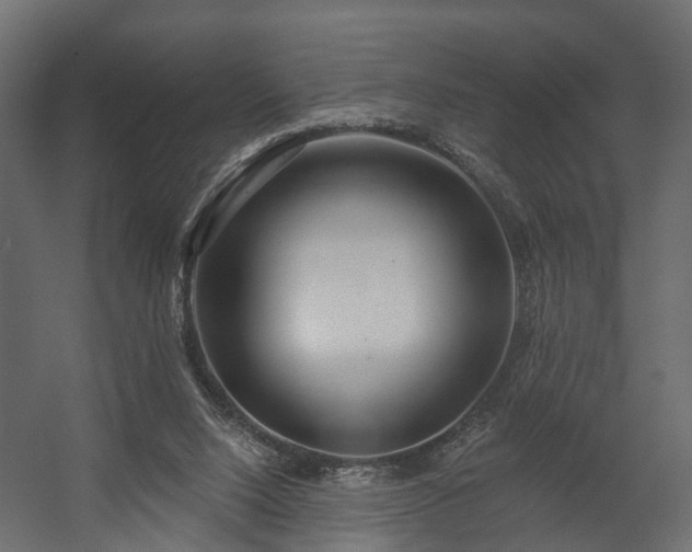 X0000058120064200509261245