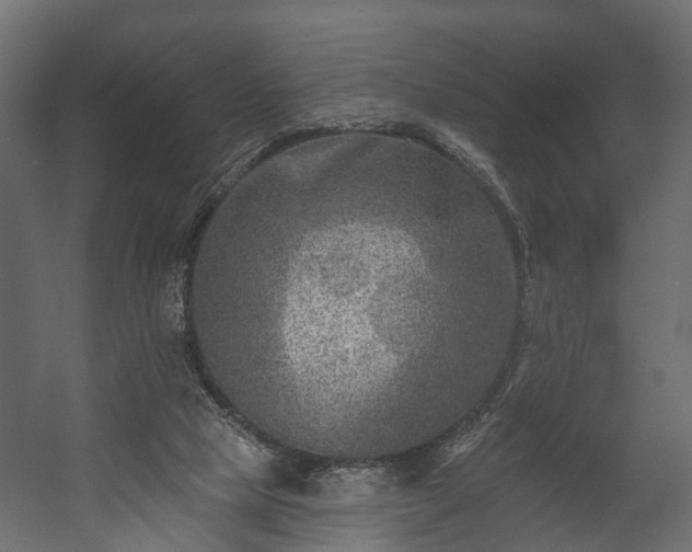 X0000058120065200509261245