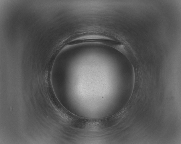 X0000058120066200509261245