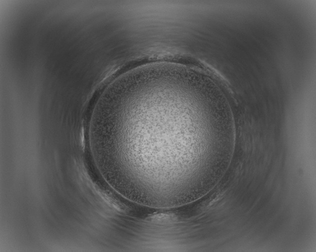 X0000058120067200509261245