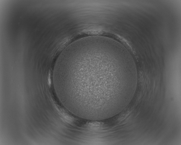 X0000058120069200509261245