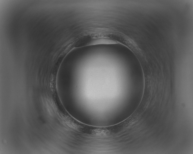 X0000058120073200509261245