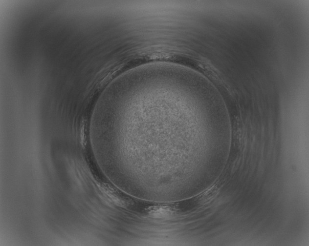 X0000058120074200509261245