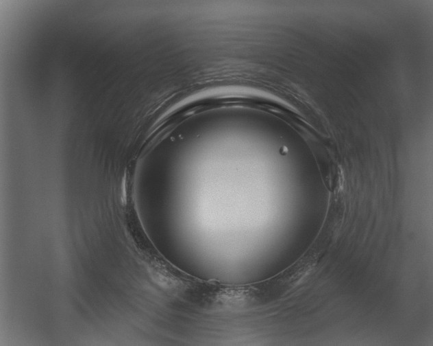 X0000058120076200509261245