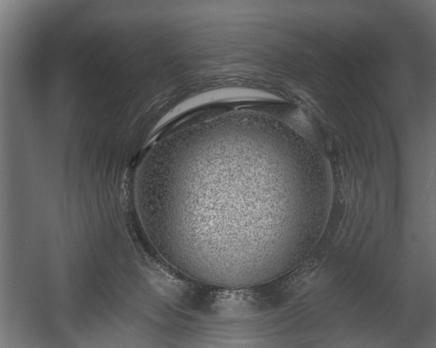 X0000058120077200509261245