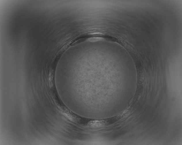 X0000058120082200509261245