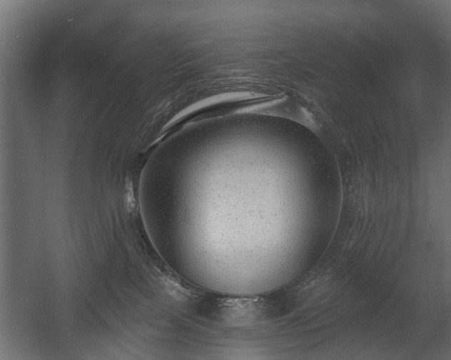 X0000058120089200509261245