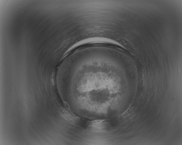 X0000058120090200509261245