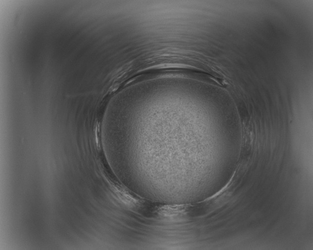 X0000058120094200509261245