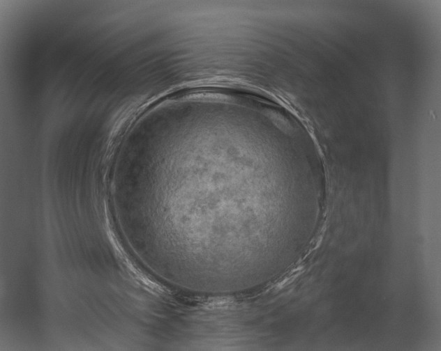 X0000058120097200509261245