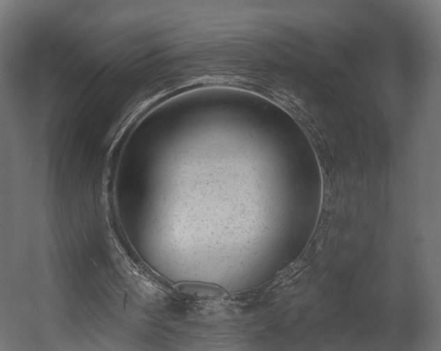 X0000058120098200509261245