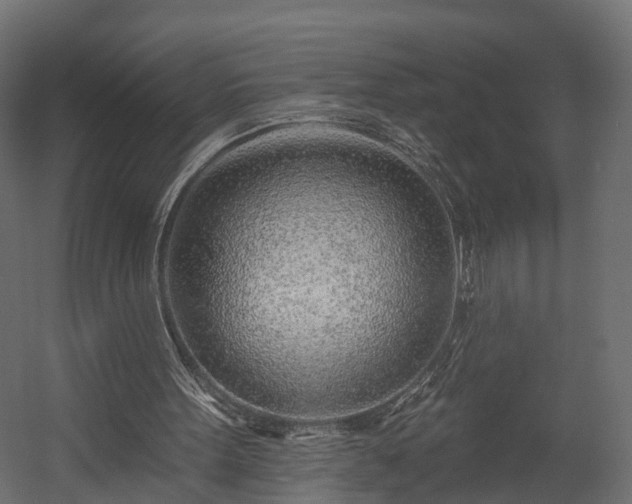 X0000058120099200509261245