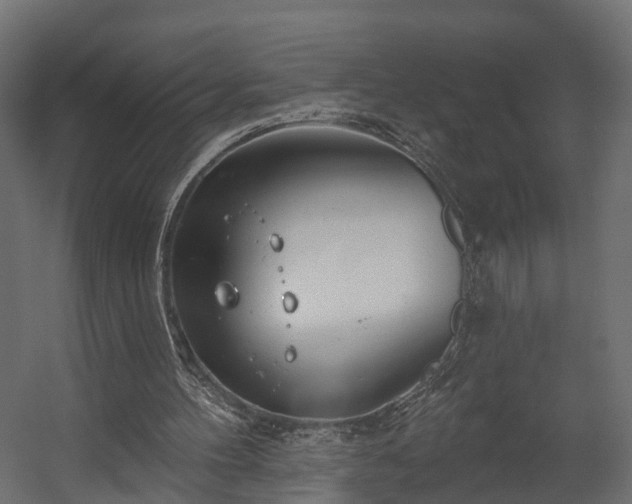 X0000058120100200509261245