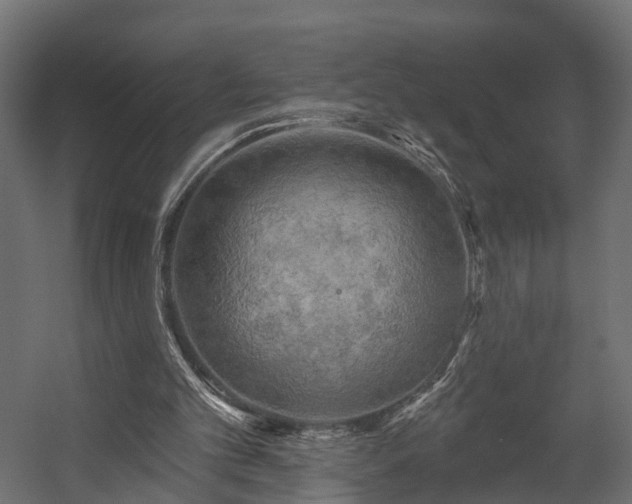 X0000058120101200509261245