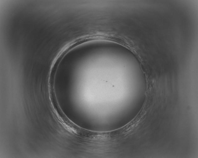 X0000058120102200509261245